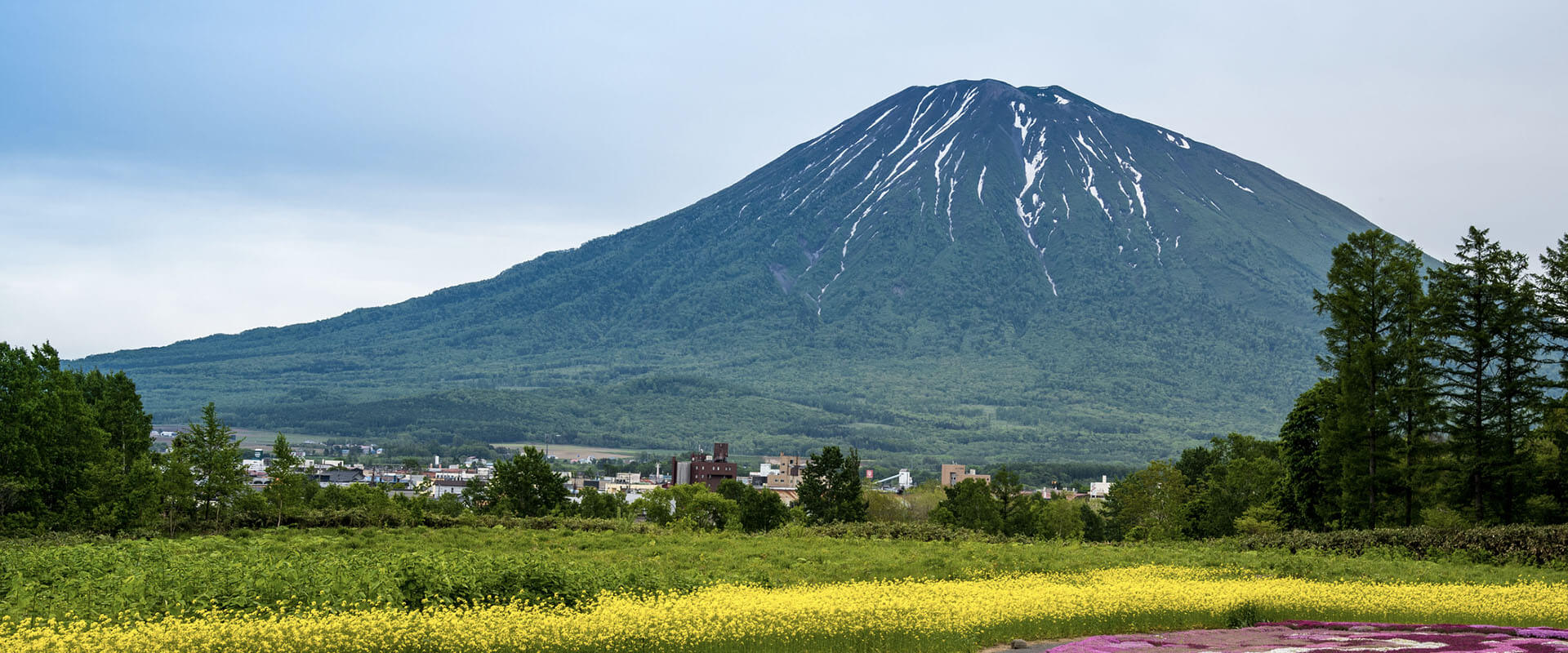 Niseko - Japan